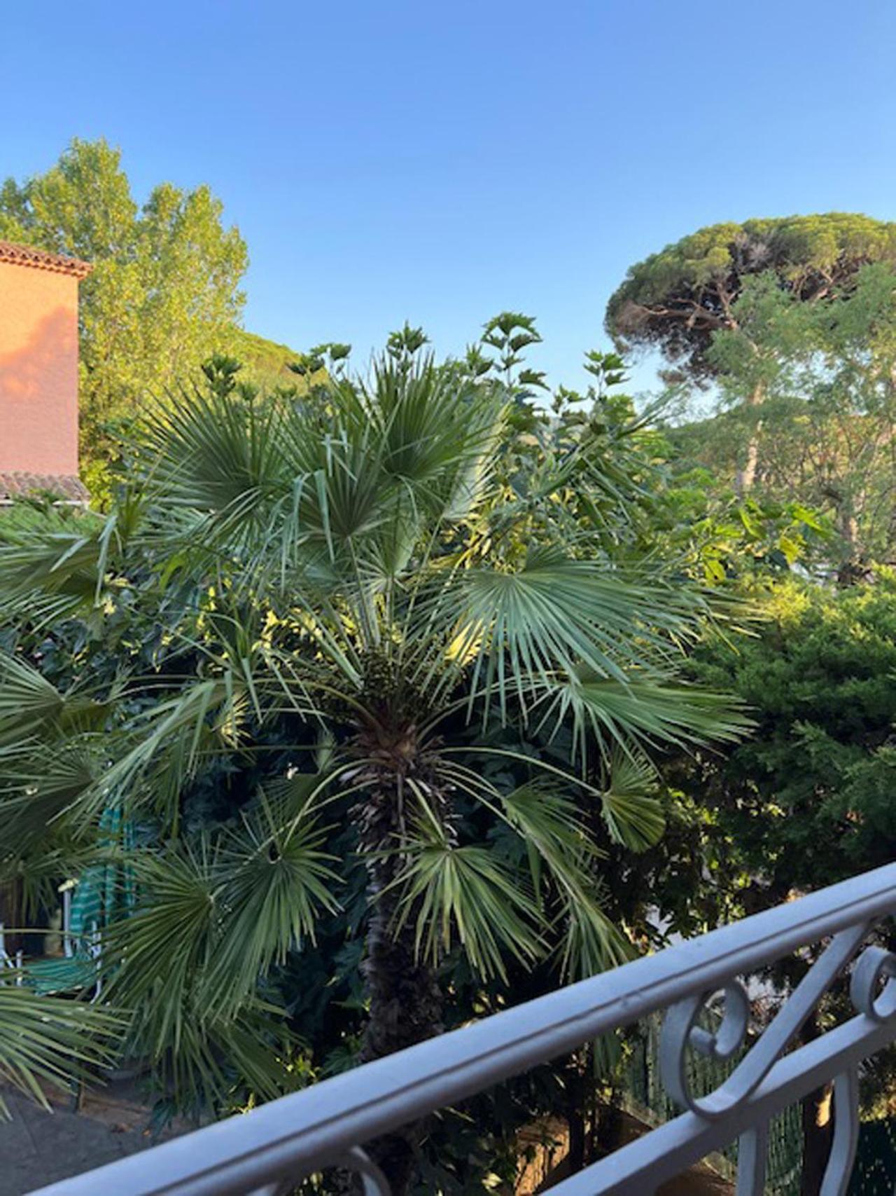 Superbe Appartement Terrasse Et Parking Prive Saint-Tropez Dış mekan fotoğraf